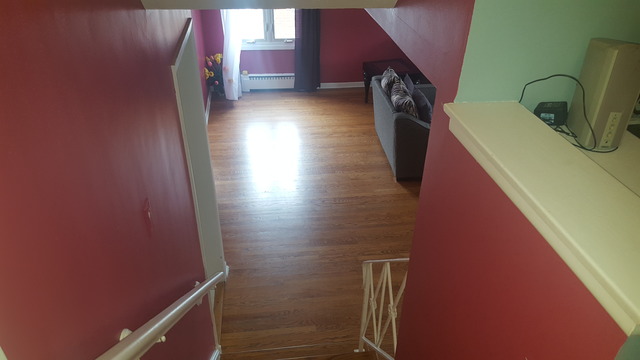 1955 Everett Ave, Des Plaines, IL 60018 photo 19