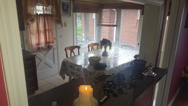1955 Everett Ave, Des Plaines, IL 60018 photo 13