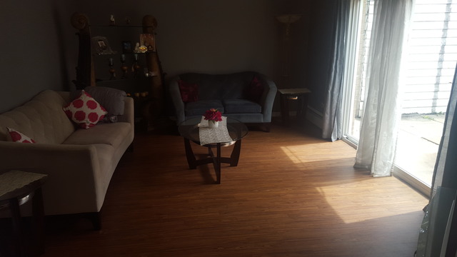 1955 Everett Ave, Des Plaines, IL 60018 photo 5