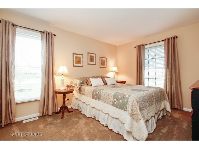 9007 Anthony Ln, Spring Grove, IL 60081 photo 11