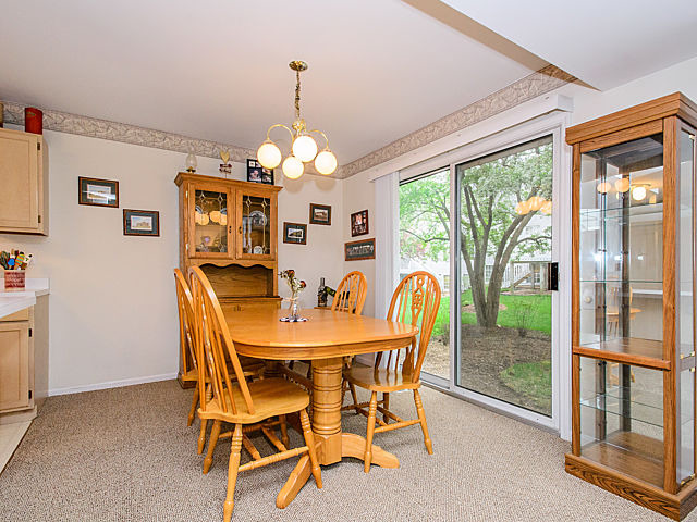 364 Monarch Birch Ct, Bartlett, IL 60103 photo 6