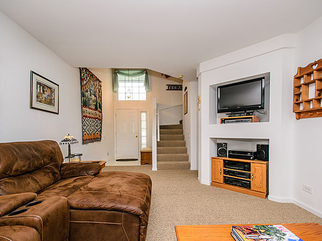 364 Monarch Birch Ct, Bartlett, IL 60103 photo 4