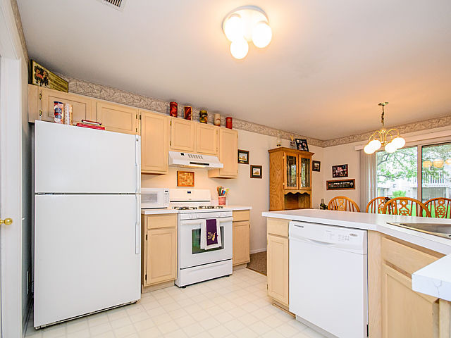364 Monarch Birch Ct, Bartlett, IL 60103 photo 12
