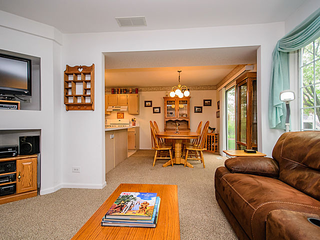 364 Monarch Birch Ct, Bartlett, IL 60103 photo 5