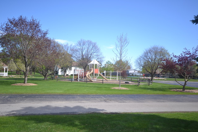 127 N Wolf Rd #37B, Wheeling, IL 60090 photo 20