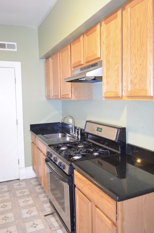 113 N Kostner Ave #207, Chicago, IL 60624 photo 8