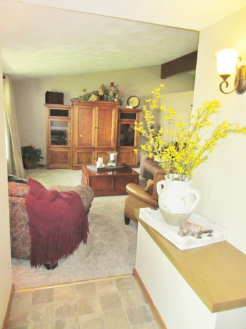 1119 N Jefferson Ave, Dixon, IL 61021 photo 3