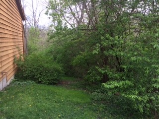 624 Gaslight Dr, Algonquin, IL 60102 photo 2