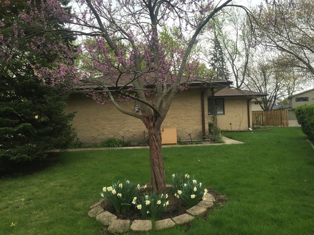 650 Marshall Dr, Des Plaines, IL 60016 photo 3