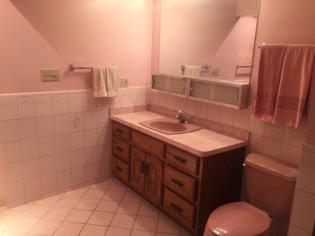 650 Marshall Dr, Des Plaines, IL 60016 photo 10