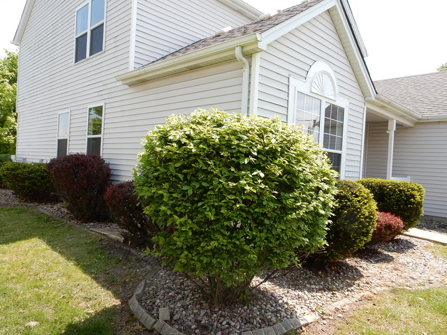 1908 Chestnut Grove Dr, Plainfield, IL 60586 photo 22