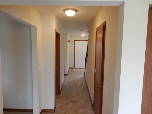 1908 Chestnut Grove Dr, Plainfield, IL 60586 photo 10