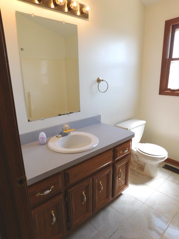 6604 Klinger Ln, Plainfield, IL 60586 photo 8