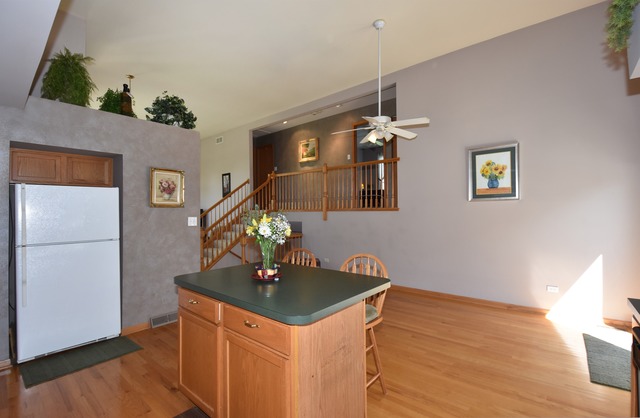 2302 Gray Hawk Dr, Plainfield, IL 60586 photo 8