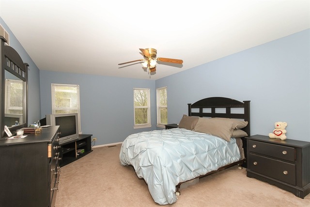 1347 Paddock Pl, Bartlett, IL 60103 photo 5