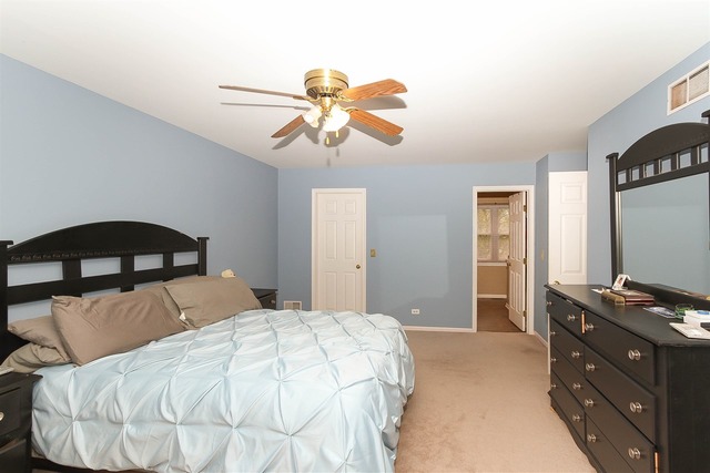 1347 Paddock Pl, Bartlett, IL 60103 photo 18