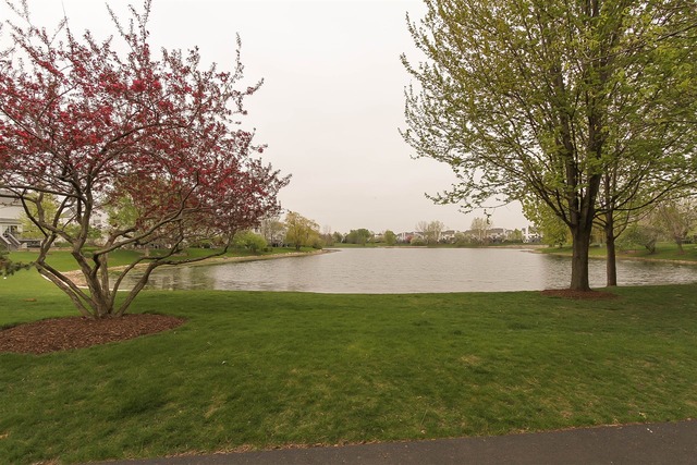 1347 Paddock Pl, Bartlett, IL 60103 photo 25