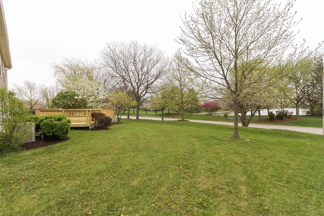 1347 Paddock Pl, Bartlett, IL 60103 photo 23