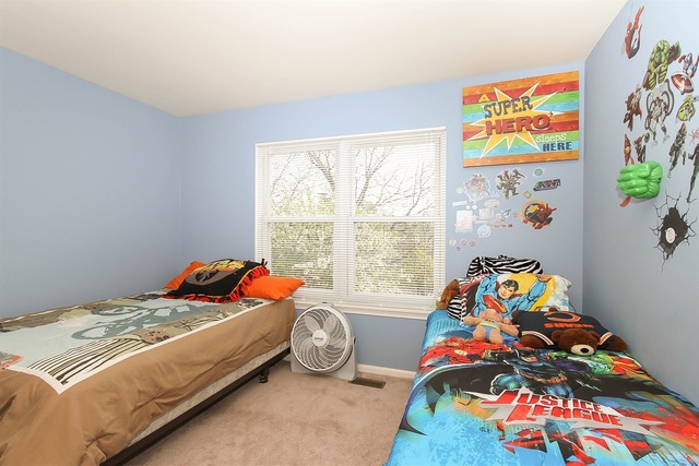 1347 Paddock Pl, Bartlett, IL 60103 photo 19