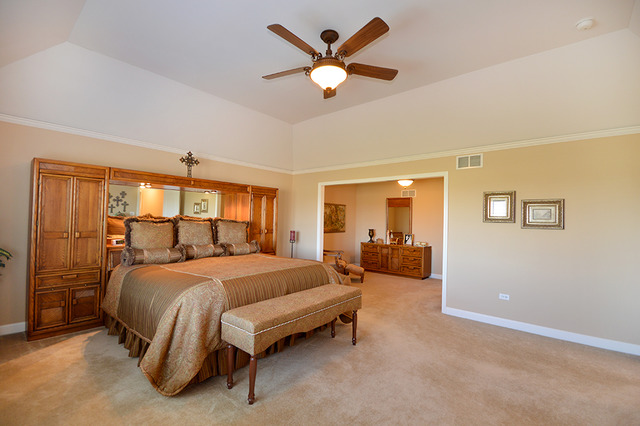 16518 S Mueller Cir, Plainfield, IL 60586 photo 7