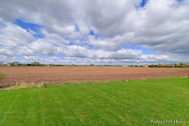 16122 Fairfield Dr, Plainfield, IL 60586 photo 16