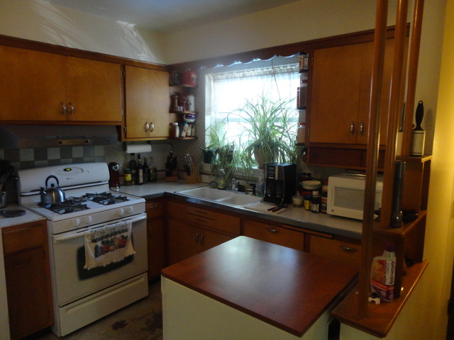 1441 N Lee Blvd, Berkeley, IL 60163 photo 4
