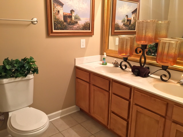 1310 Danada Ct, Naperville, IL 60563 photo 22