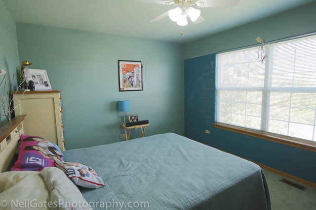 2010 Gray Hawk Ct, Plainfield, IL 60586 photo 16