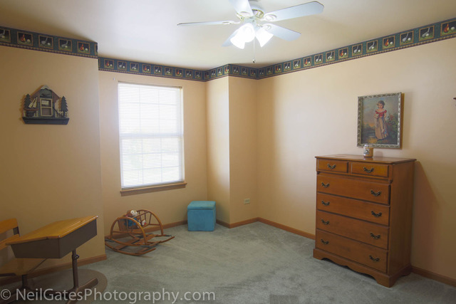 2010 Gray Hawk Ct, Plainfield, IL 60586 photo 17