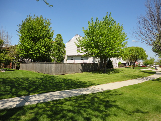 1607 Lake Pointe Ct, Plainfield, IL 60586 photo 4