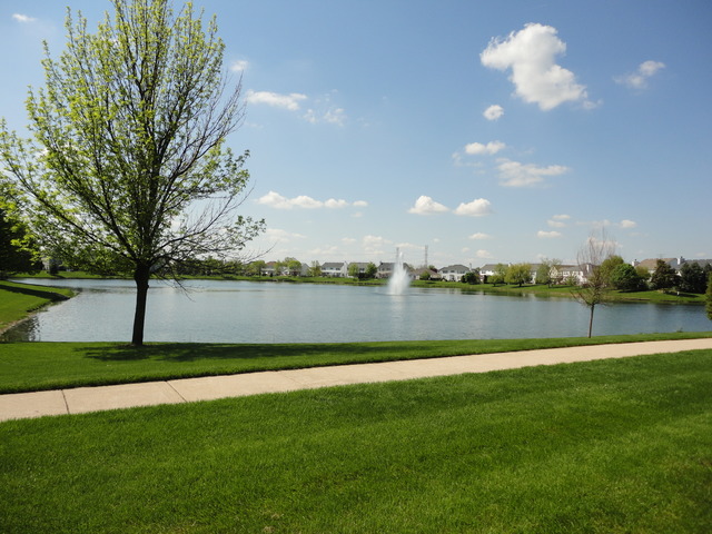1607 Lake Pointe Ct, Plainfield, IL 60586 photo 20