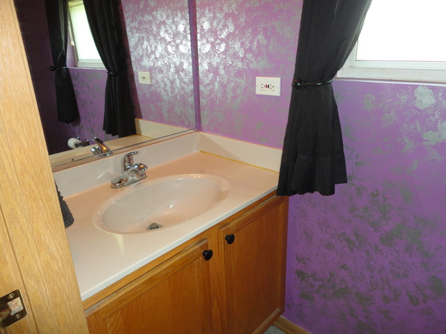 1607 Lake Pointe Ct, Plainfield, IL 60586 photo 13
