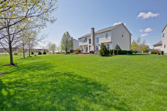 5 Reedsworth Ct, Algonquin, IL 60102 photo 24