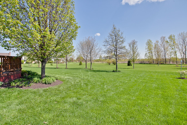 5 Reedsworth Ct, Algonquin, IL 60102 photo 25