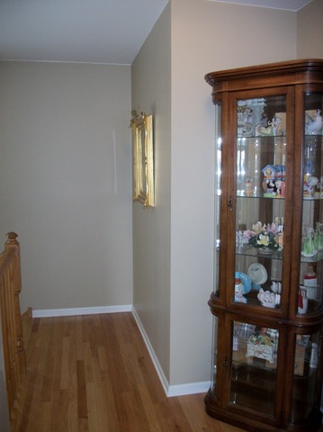 16232 Fairfield Dr, Plainfield, IL 60586 photo 12