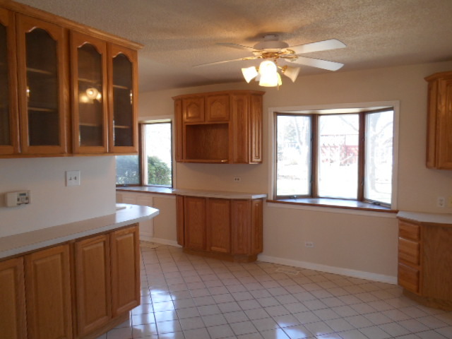 900 Olive St, Hoffman Estates, IL 60169 photo 3