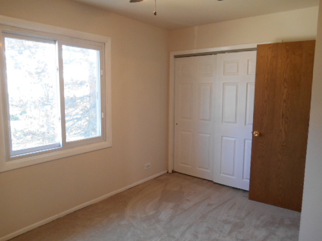 900 Olive St, Hoffman Estates, IL 60169 photo 16