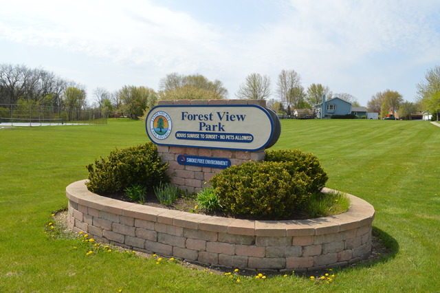 540 Forest View Rd, Lindenhurst, IL 60046 photo 21