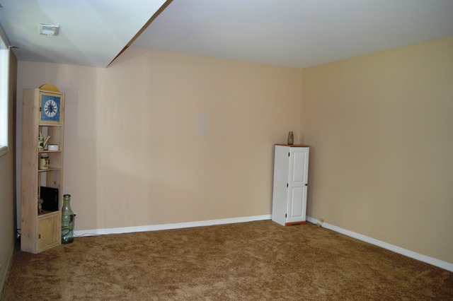 540 Forest View Rd, Lindenhurst, IL 60046 photo 7