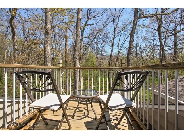 1455 Chippewa Pathway, Riverwoods, IL 60015 photo 12