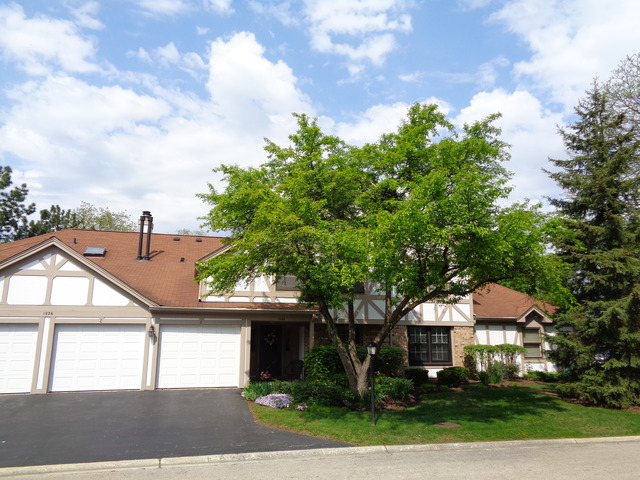 1926 Gresham Cir #C, Wheaton, IL 60189 photo 1