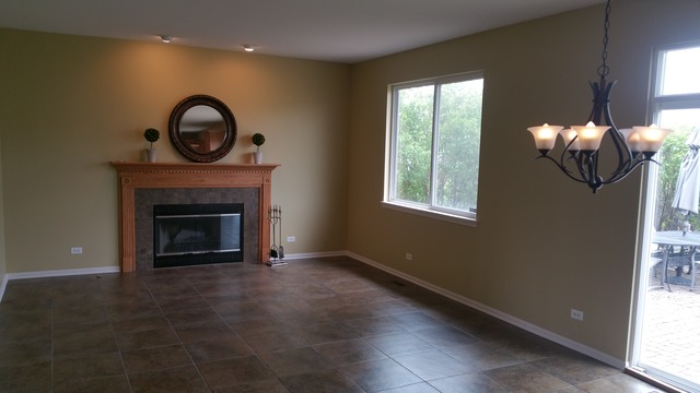 25529 Pavilion Pl, Plainfield, IL 60585 photo 4