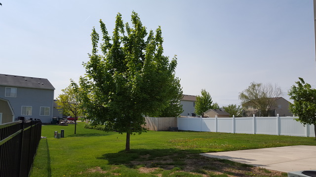 14436 Independence Dr, Plainfield, IL 60544 photo 18