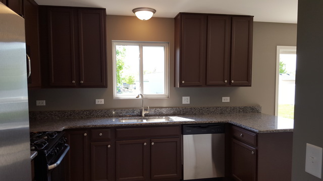 14436 Independence Dr, Plainfield, IL 60544 photo 6