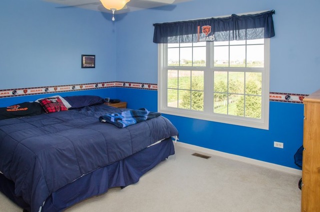 9308 Daniel Ln, Spring Grove, IL 60081 photo 19