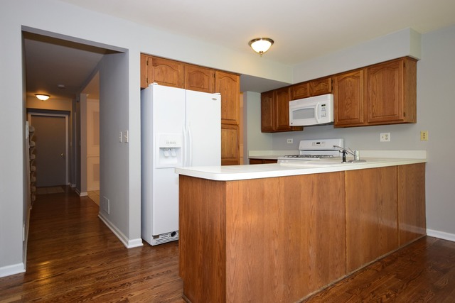 5 E Walnut St, Roselle, IL 60172 photo 7