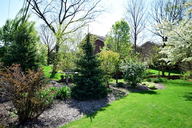 5 E Walnut St, Roselle, IL 60172 photo 24