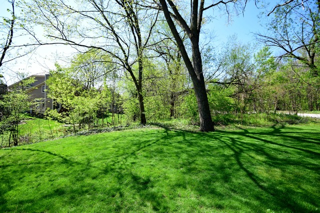5 E Walnut St, Roselle, IL 60172 photo 22