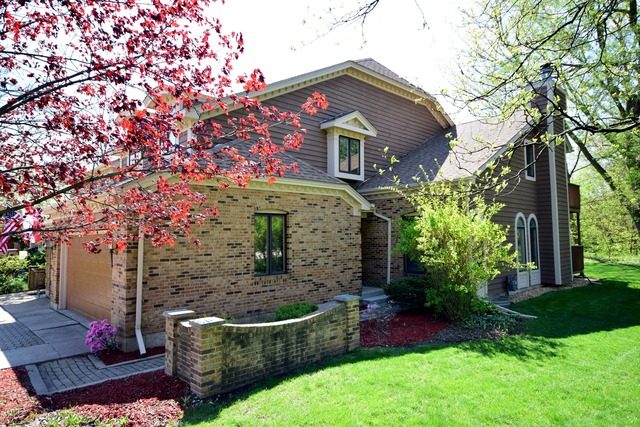 5 E Walnut St, Roselle, IL 60172 photo 25