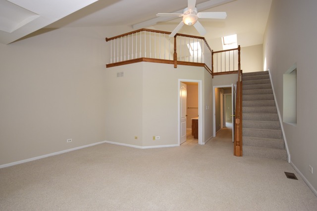5 E Walnut St, Roselle, IL 60172 photo 12